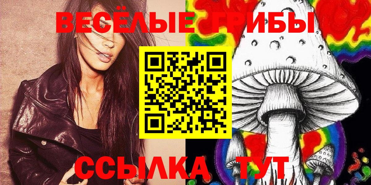 наркота  Вход с VPN  Гуково  Галлюциногенные грибы Psilocybe 