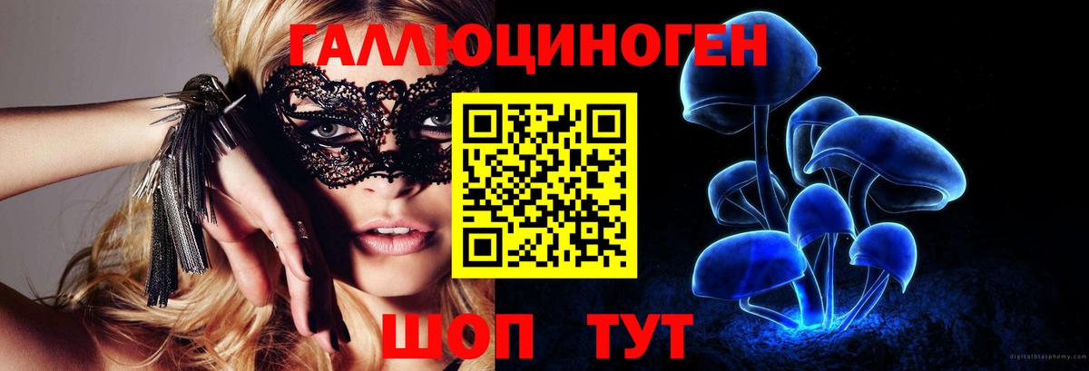 Псилоцибиновые грибы Cubensis Гуково